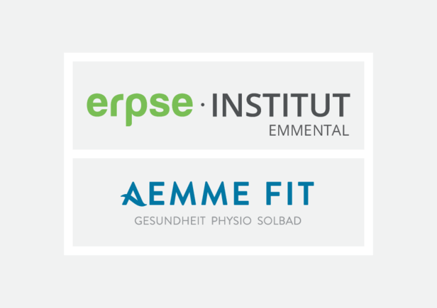 erpseaemmefit_logos_2.pdf