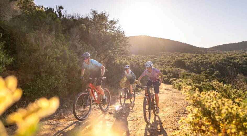 95945_bikeferien-toskana-abendtour-golfodelsole-follonica_767x424.jpg